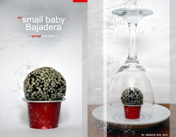 Serafin-2013,-My-small-baby